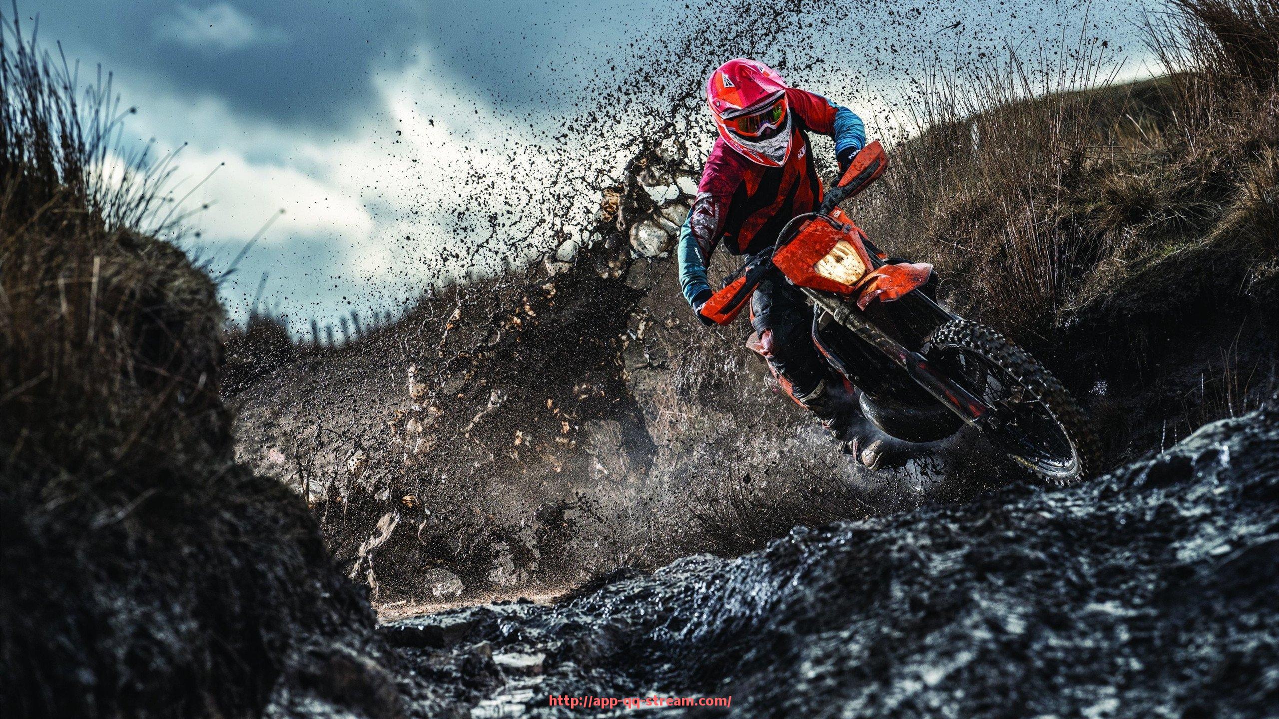 企鹅直播-健身器材下拉动作解析及训练要点