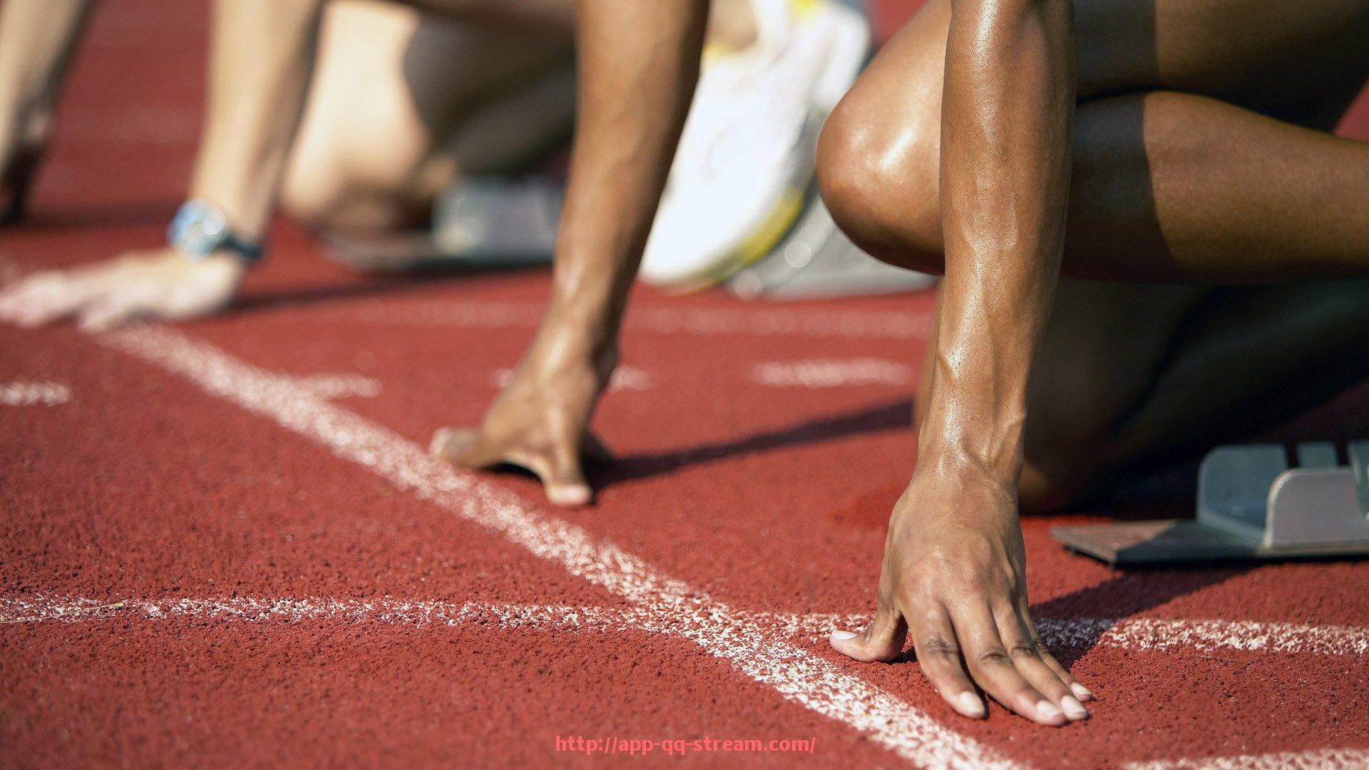 企鹅直播-海口主流健身房使用的健身器材类型有哪些？